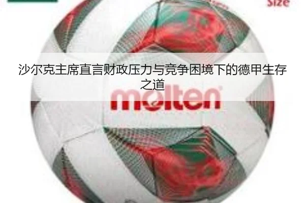 沙尔克主席直言财政压力与竞争困境下的德甲生存之道